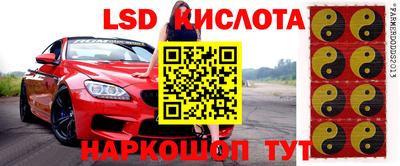 индика Краснознаменск