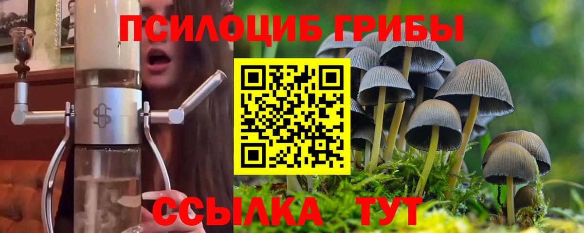 Галлюциногенные грибы ЛСД  Вход с VPN  Вологда 