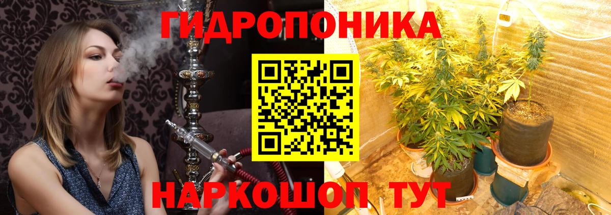 Вологда  Шишки марихуана сатива  Марихуана AK-47  Каннабис индика  Вход с VPN 
